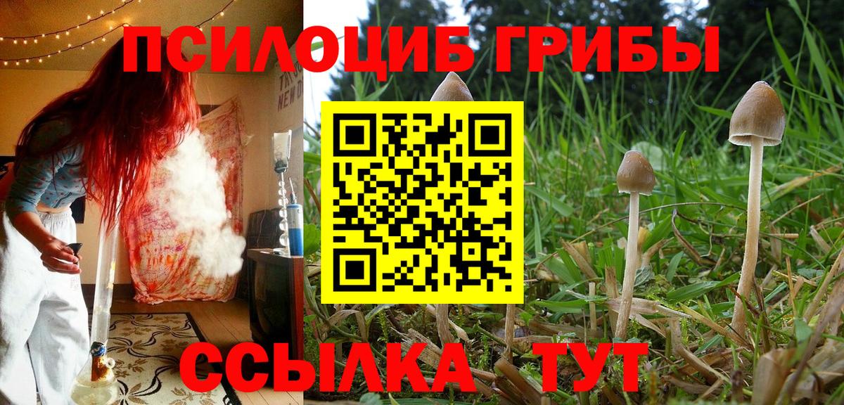 Галлюциногенные грибы GOLDEN TEACHER  где купить наркоту  Югорск  Вход с VPN 